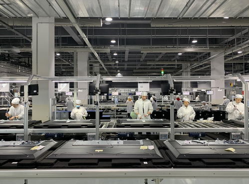 綿陽躋身國家級外貿(mào)基地序列，依托產(chǎn)業(yè)優(yōu)勢驅(qū)動進(jìn)出口增長